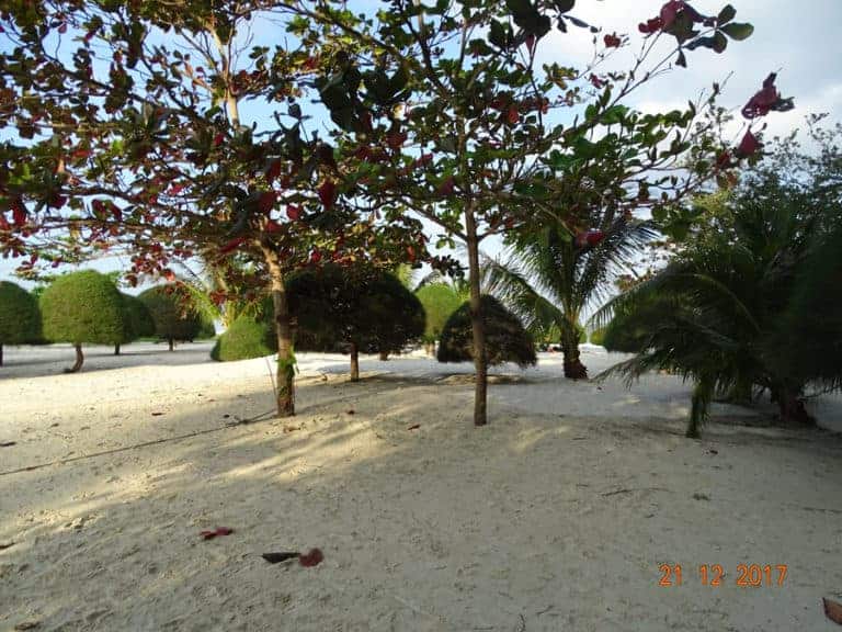 Fotoalbum Detektei Thailand